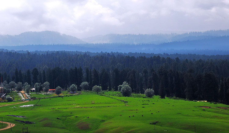 Pahalgam Taxi Service